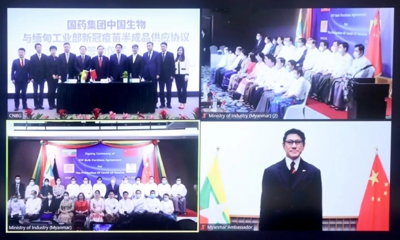 Trung Quốc, Myanmar hợp tác sản xuất vaccine Covid-19